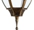 Уличный светильник Arte Lamp PEGASUS A3151SO-1BN 2