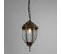 Уличный светильник Arte Lamp PEGASUS A3151SO-1BN 4