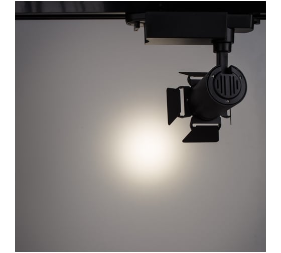 Потолочный светильник Arte Lamp A6709PL-1BK