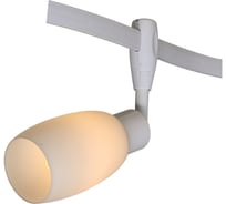 Потолочный светильник Arte Lamp A3059PL-1WH