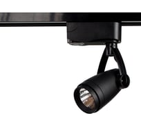 Потолочный светильник Arte Lamp A5910PL-1BK
