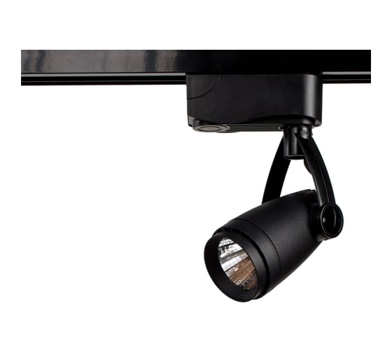 Потолочный светильник Arte Lamp A5910PL-1BK 1