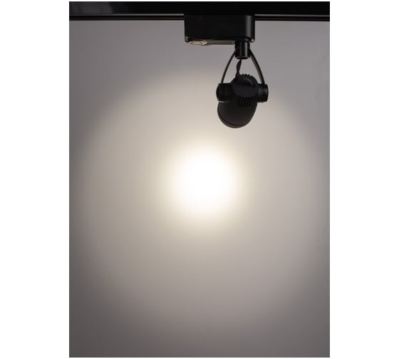 Потолочный светильник Arte Lamp A5910PL-1BK