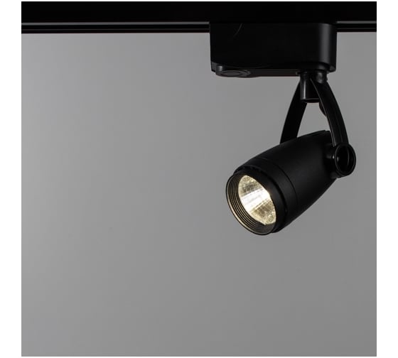 Потолочный светильник Arte Lamp A5910PL-1BK