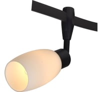Потолочный светильник Arte Lamp A3059PL-1BK