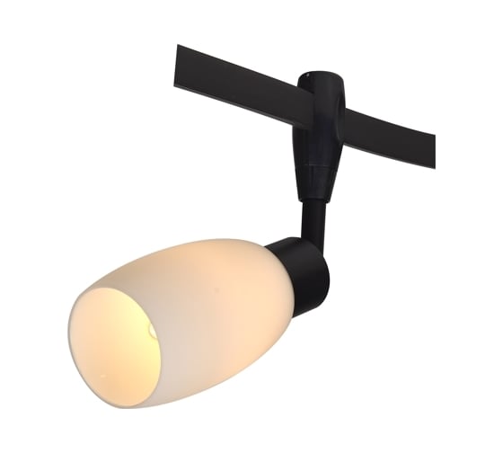 Потолочный светильник Arte Lamp A3059PL-1BK
