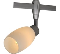 Потолочный светильник Arte Lamp A3059PL-1SI