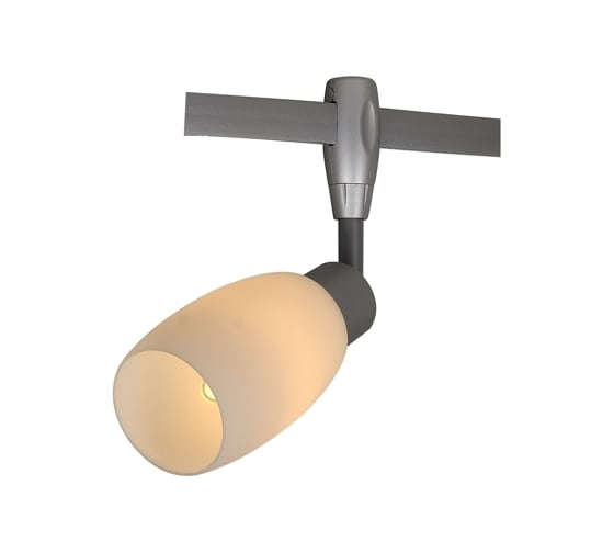 Потолочный светильник Arte Lamp A3059PL-1SI