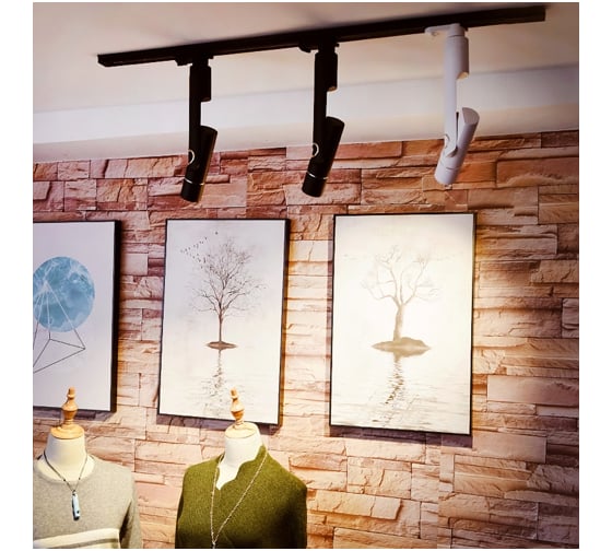 Потолочный светильник Arte Lamp A2512PL-1BK