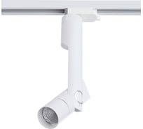 Потолочный светильник Arte Lamp A2512PL-1WH