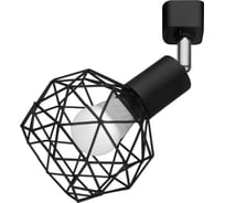 Потолочный светильник Arte Lamp SOSPIRO A6141PL-1BK