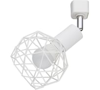 Потолочный светильник Arte Lamp A6141PL-1WH