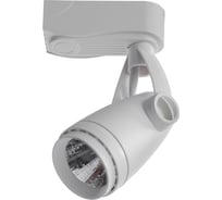 Потолочный светильник Arte Lamp A5910PL-1WH