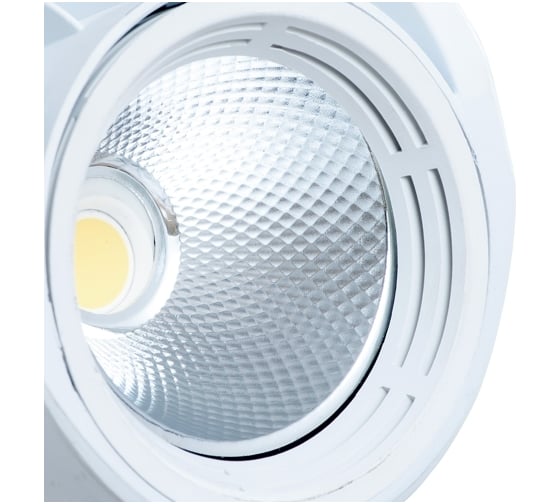 Потолочный светильник Arte Lamp A3930PL-1WH