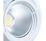 Потолочный светильник Arte Lamp A3930PL-1WH 2