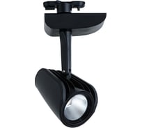 Потолочный светильник Arte Lamp A3930PL-1BK