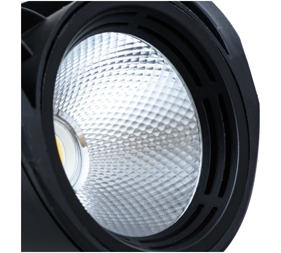 Потолочный светильник Arte Lamp A3930PL-1BK