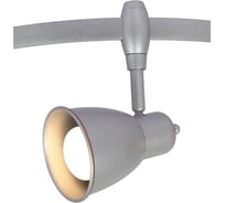 Потолочный светильник Arte Lamp A3058PL-1SI