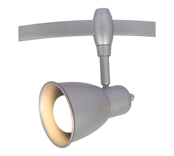 Потолочный светильник Arte Lamp A3058PL-1SI 1