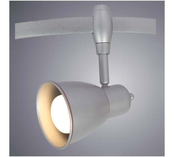 Потолочный светильник Arte Lamp A3058PL-1SI