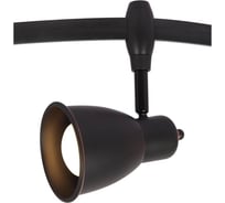 Потолочный светильник Arte Lamp A3058PL-1BK