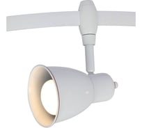 Потолочный светильник Arte Lamp A3058PL-1WH