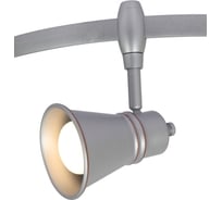 Потолочный светильник Arte Lamp A3057PL-1SI