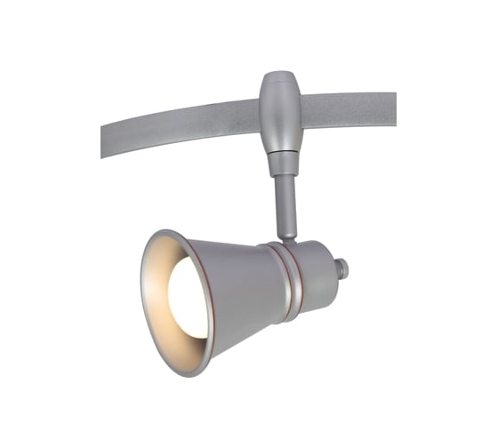 Потолочный светильник Arte Lamp A3057PL-1SI