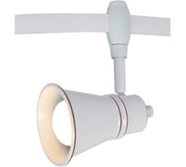 Потолочный светильник Arte Lamp A3057PL-1WH