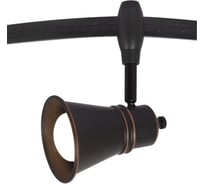 Потолочный светильник Arte Lamp A3057PL-1BK