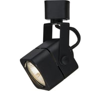 Потолочный светильник Arte Lamp A1314PL-1BK