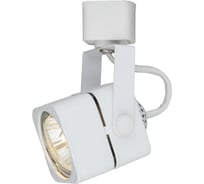 Потолочный светильник Arte Lamp A1314PL-1WH