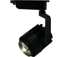 Потолочный светильник Arte Lamp A1630PL-1BK