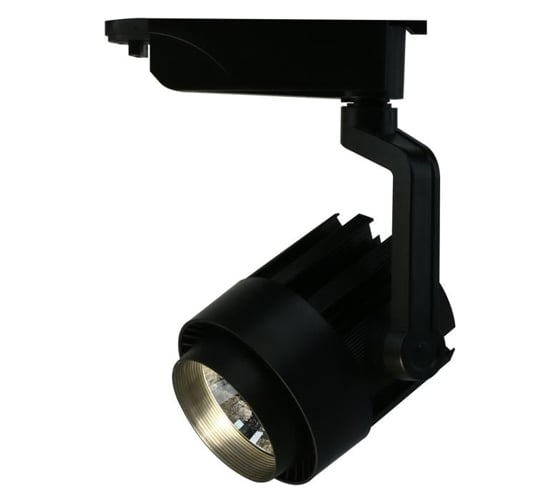 Потолочный светильник Arte Lamp A1630PL-1BK 1