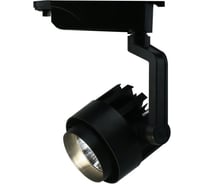 Потолочный светильник Arte Lamp A1620PL-1BK