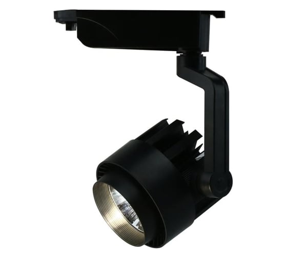 Потолочный светильник Arte Lamp A1620PL-1BK 1