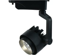 Потолочный светильник Arte Lamp A1610PL-1BK