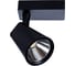 Потолочный светильник Arte Lamp A1820PL-1BK 1