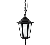 Светильник уличный шестигранник TDM ELECTRIC, 60Вт, подвес, черный SQ0330-0005