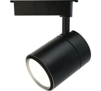 Потолочный светильник Arte Lamp A5750PL-1BK