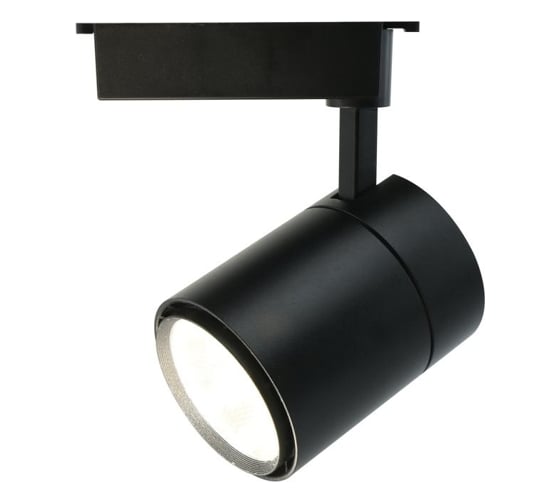 Потолочный светильник Arte Lamp A5750PL-1BK