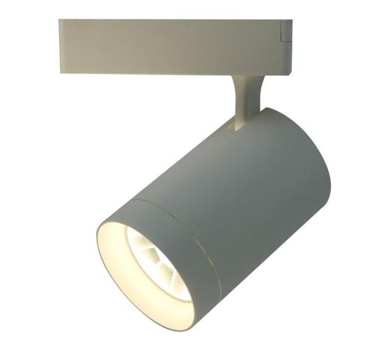 Потолочный светильник Arte Lamp A1730PL-1WH
