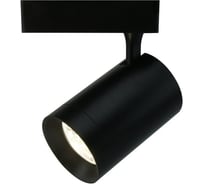Потолочный светильник Arte Lamp A1730PL-1BK