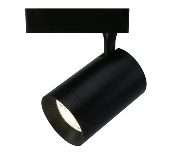 Потолочный светильник Arte Lamp A1730PL-1BK 1