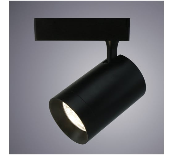 Потолочный светильник Arte Lamp A1730PL-1BK