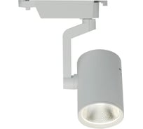 Потолочный светильник Arte Lamp A2331PL-1WH