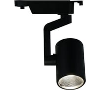 Потолочный светильник Arte Lamp A2311PL-1BK