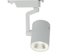 Потолочный светильник Arte Lamp A2321PL-1WH