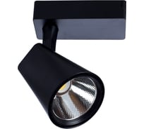 Потолочный светильник Arte Lamp A1821PL-1BK