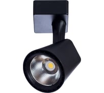 Потолочный светильник Arte Lamp A1811PL-1BK